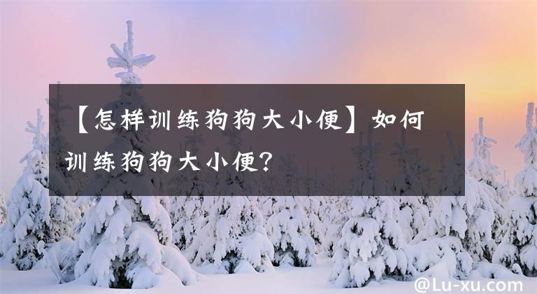 【怎樣訓(xùn)練狗狗大小便】如何訓(xùn)練狗狗大小便？