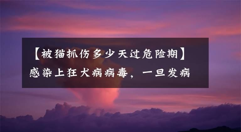 【被貓抓傷多少天過危險期】感染上狂犬病病毒，一旦發(fā)病，生存期不超過5天，幾乎100%死亡