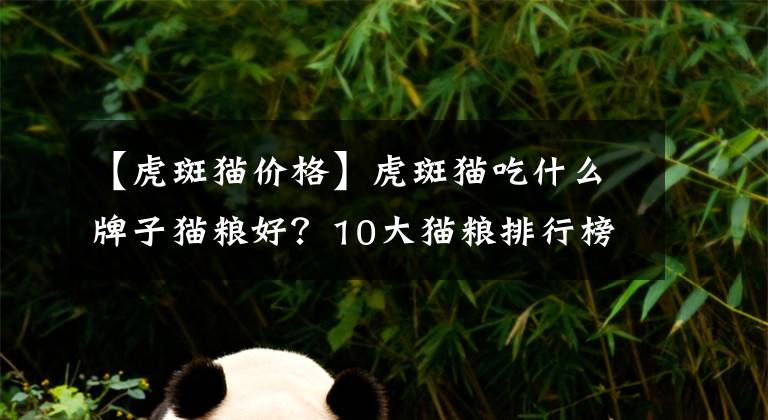 【虎斑貓價(jià)格】虎斑貓吃什么牌子貓糧好？10大貓糧排行榜推薦