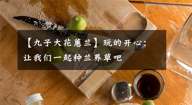 【九子大花蕙蘭】玩的開心：讓我們一起種蘭養(yǎng)草吧