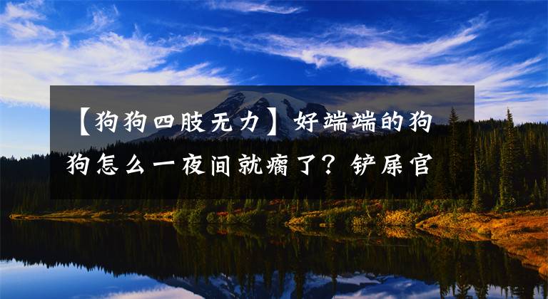 【狗狗四肢無力】好端端的狗狗怎么一夜間就瘸了？鏟屎官：八成又裝的