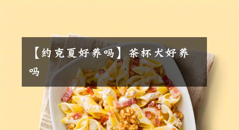 【約克夏好養(yǎng)嗎】茶杯犬好養(yǎng)嗎