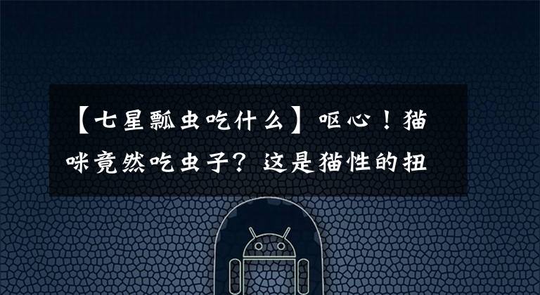 【七星瓢蟲吃什么】嘔心！貓咪竟然吃蟲子？這是貓性的扭曲還是道德的淪喪