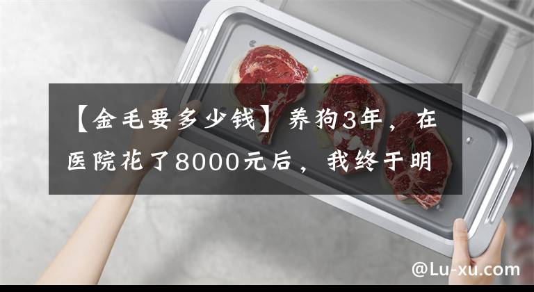 【金毛要多少錢(qián)】養(yǎng)狗3年，在醫(yī)院花了8000元后，我終于明白了這些道理