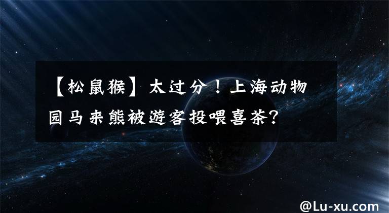 【松鼠猴】太過分！上海動物園馬來熊被游客投喂喜茶？