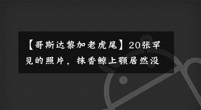 【哥斯達(dá)黎加老虎尾】20張罕見的照片，抹香鯨上顎居然沒有牙，圖5是全身透明的青蛙