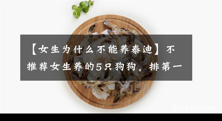 【女生為什么不能養(yǎng)泰迪】不推薦女生養(yǎng)的5只狗狗，排第一的好尷尬