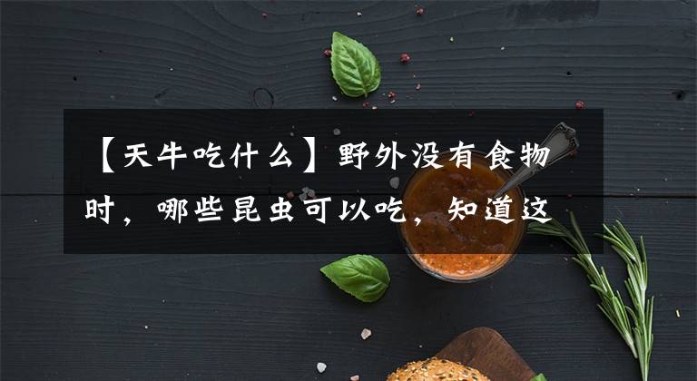 【天牛吃什么】野外沒有食物時，哪些昆蟲可以吃，知道這些，離貝爺就更近了一步