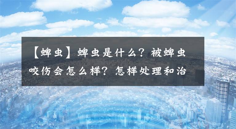 【蜱蟲】蜱蟲是什么？被蜱蟲咬傷會怎么樣？怎樣處理和治療呢