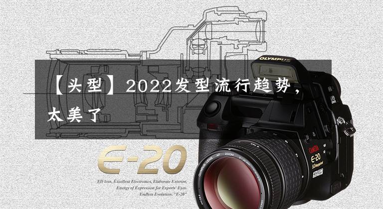 【頭型】2022發(fā)型流行趨勢(shì)，太美了