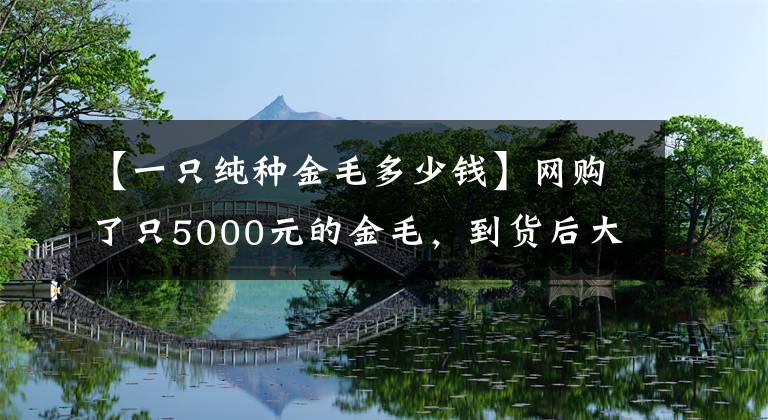 【一只純種金毛多少錢】網購了只5000元的金毛，到貨后大家都說，這狗路邊50隨便買