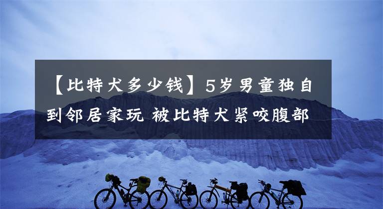 【比特犬多少錢】5歲男童獨(dú)自到鄰居家玩 被比特犬緊咬腹部身亡！涉事狗恐被安樂死