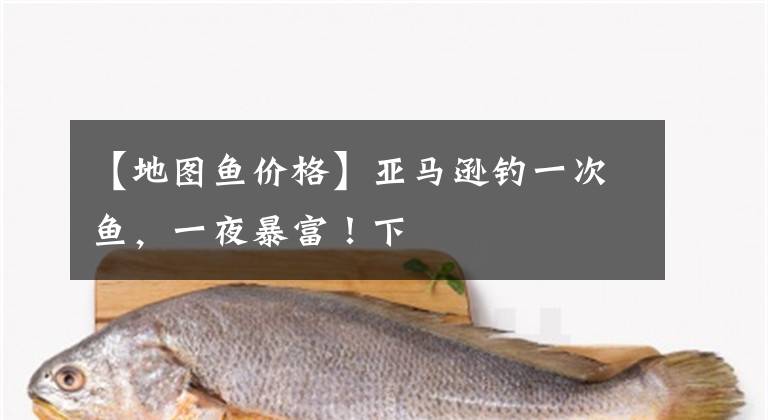 【地圖魚價格】亞馬遜釣一次魚，一夜暴富！下