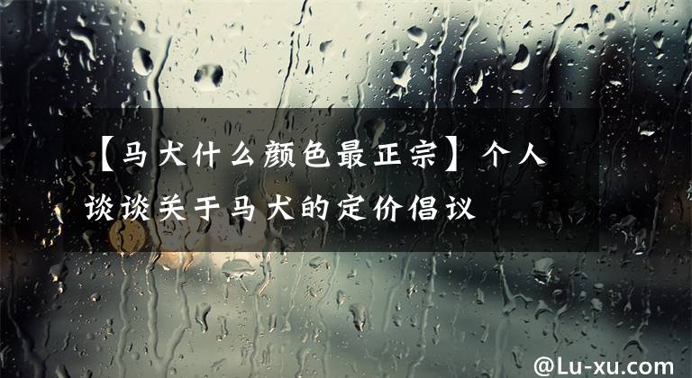 【馬犬什么顏色最正宗】個人談?wù)勱P(guān)于馬犬的定價倡議