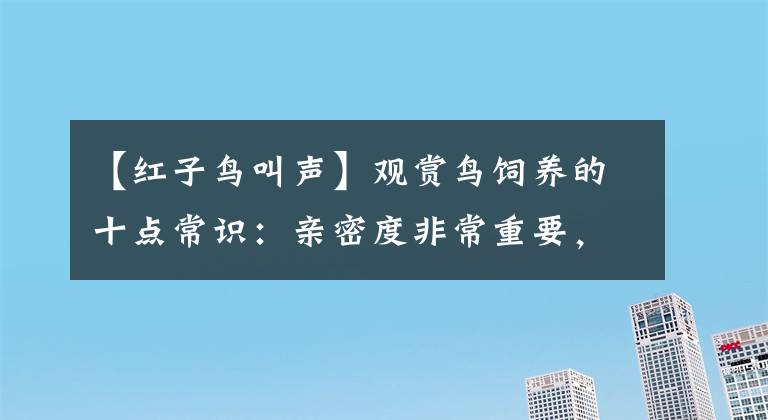 【紅子鳥(niǎo)叫聲】觀賞鳥(niǎo)飼養(yǎng)的十點(diǎn)常識(shí)：親密度非常重要，瓜子每天吃多少最好？