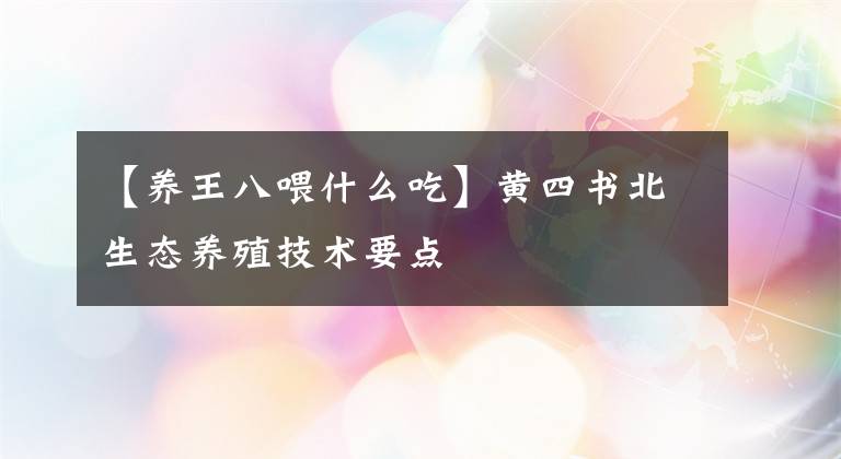 【養(yǎng)王八喂什么吃】黃四書北生態(tài)養(yǎng)殖技術(shù)要點