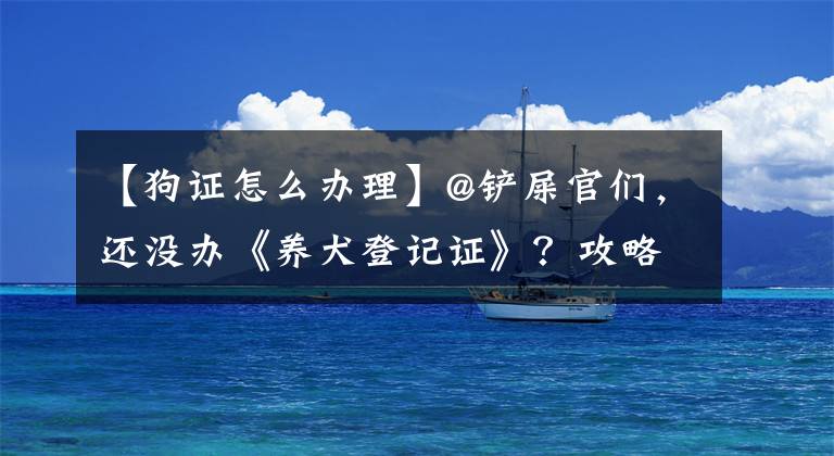 【狗證怎么辦理】@鏟屎官們，還沒(méi)辦《養(yǎng)犬登記證》？攻略在此→