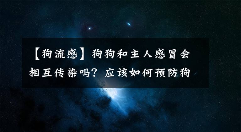 【狗流感】狗狗和主人感冒會相互傳染嗎？應該如何預防狗狗的流感？