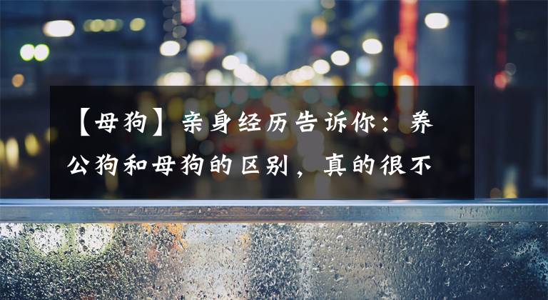 【母狗】親身經(jīng)歷告訴你：養(yǎng)公狗和母狗的區(qū)別，真的很不一樣