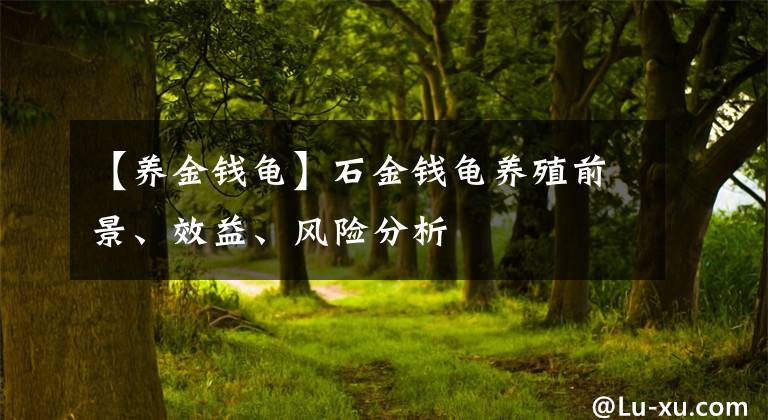 【養(yǎng)金錢龜】石金錢龜養(yǎng)殖前景、效益、風(fēng)險(xiǎn)分析