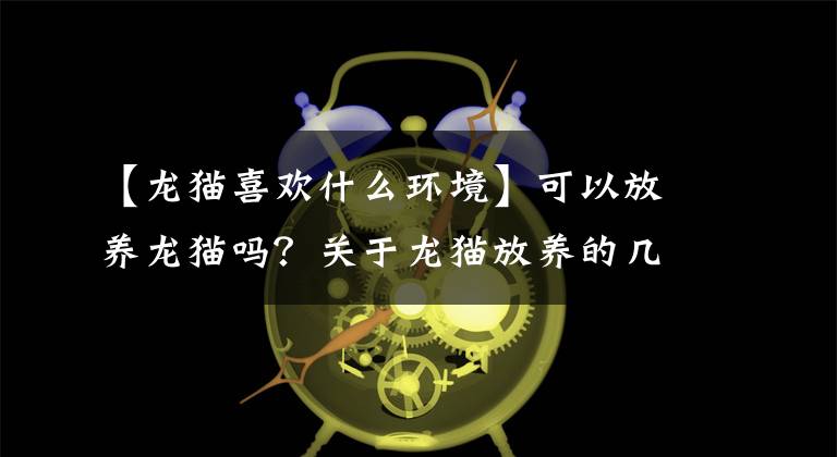 【龍貓喜歡什么環(huán)境】可以放養(yǎng)龍貓嗎？關(guān)于龍貓放養(yǎng)的幾個常見問題！