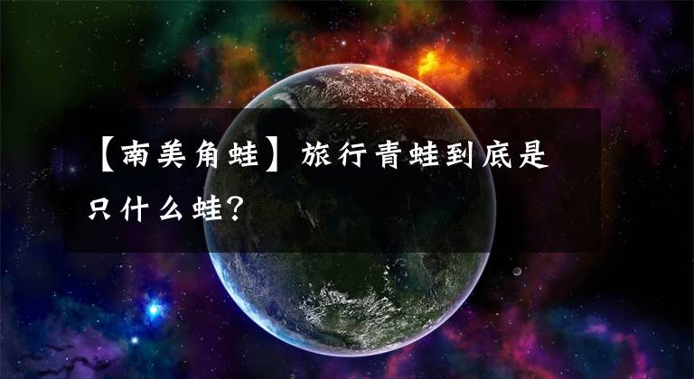 【南美角蛙】旅行青蛙到底是只什么蛙？