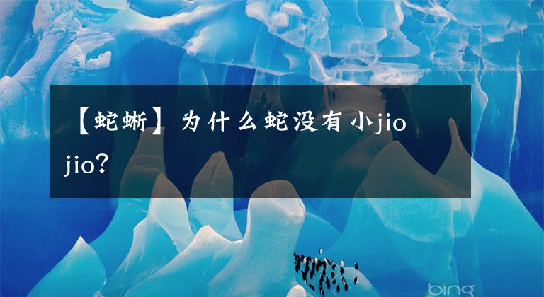 【蛇蜥】為什么蛇沒有小jio jio？