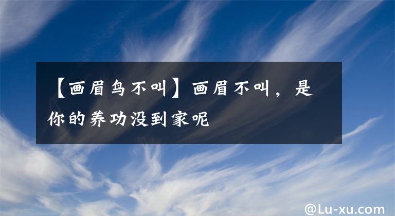 【畫眉鳥不叫】畫眉不叫，是你的養(yǎng)功沒到家呢