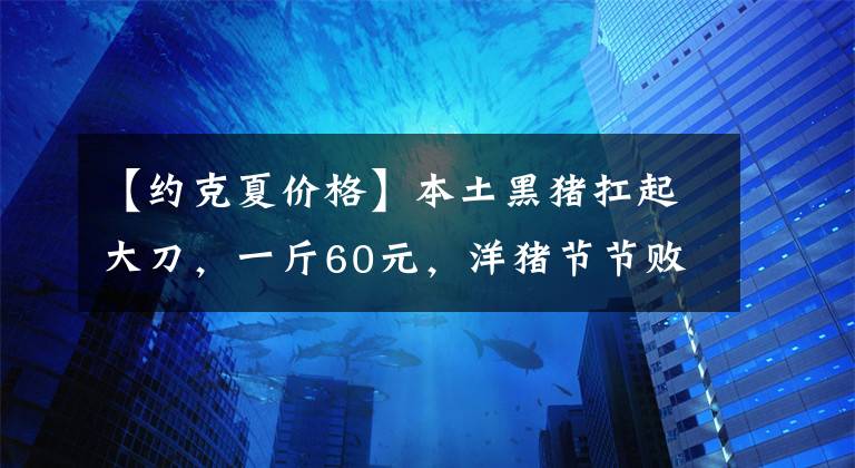 【約克夏價格】本土黑豬扛起大刀，一斤60元，洋豬節(jié)節(jié)敗退！反攻號角已吹響？