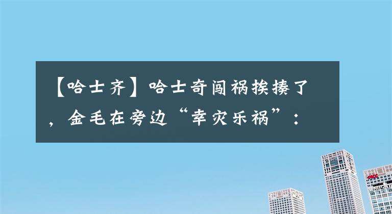 【哈士齊】哈士奇闖禍挨揍了，金毛在旁邊“幸災(zāi)樂禍”：你小子也有今天啊