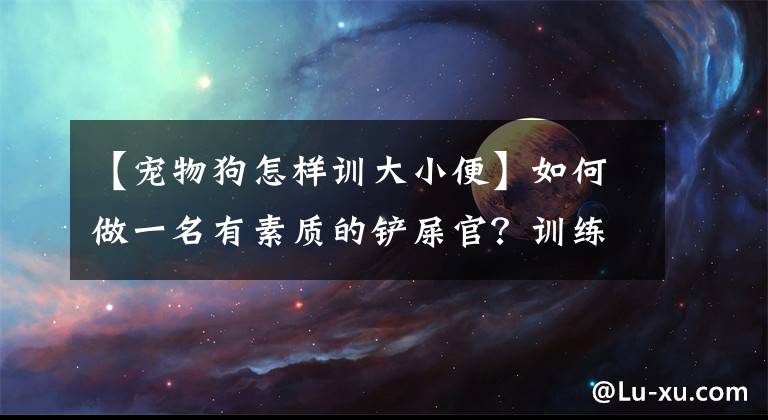 【寵物狗怎樣訓大小便】如何做一名有素質(zhì)的鏟屎官？訓練狗狗言行舉止是第一步，學起來吧