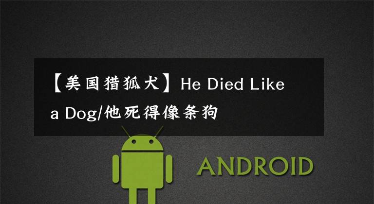 【美國獵狐犬】He Died Like a Dog/他死得像條狗