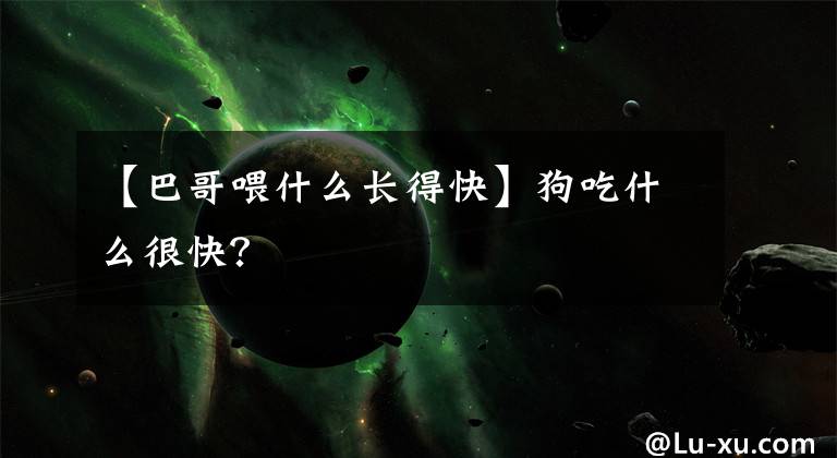 【巴哥喂什么長(zhǎng)得快】狗吃什么很快？