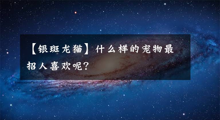 【銀斑龍貓】什么樣的寵物最招人喜歡呢？