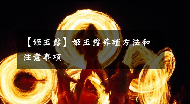 【姬玉露】姬玉露養(yǎng)殖方法和注意事項(xiàng)