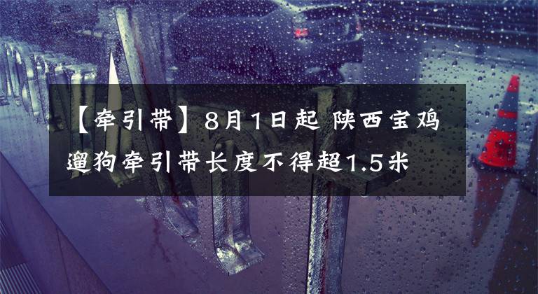 【牽引帶】8月1日起 陜西寶雞遛狗牽引帶長度不得超1.5米