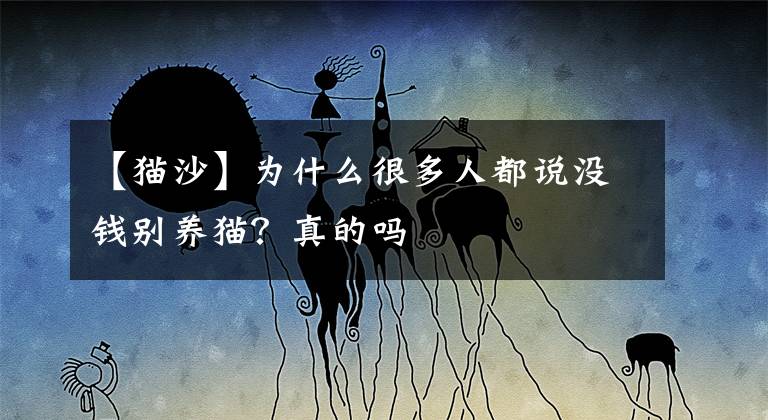 【貓沙】為什么很多人都說沒錢別養(yǎng)貓？真的嗎