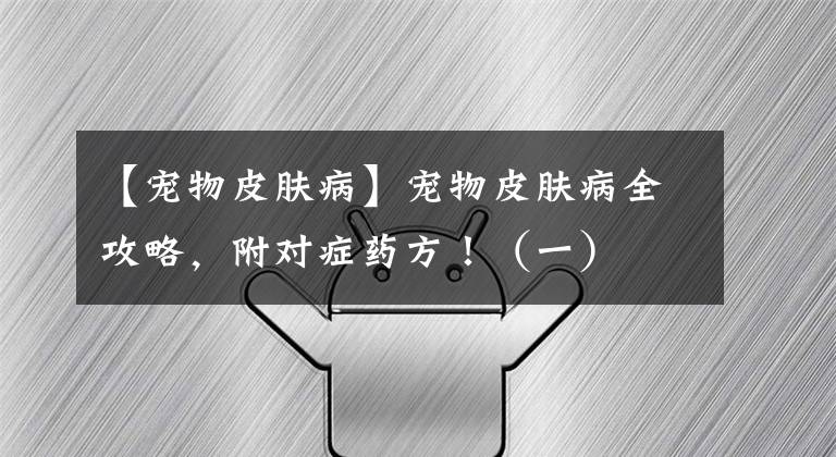 【寵物皮膚病】寵物皮膚病全攻略，附對(duì)癥藥方?。ㄒ唬?></a></div> <div   id=