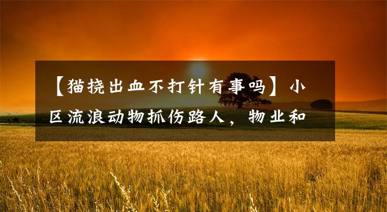 【貓撓出血不打針有事嗎】小區(qū)流浪動物抓傷路人，物業(yè)和投喂者是否應(yīng)當(dāng)承擔(dān)法律侵權(quán)責(zé)任？