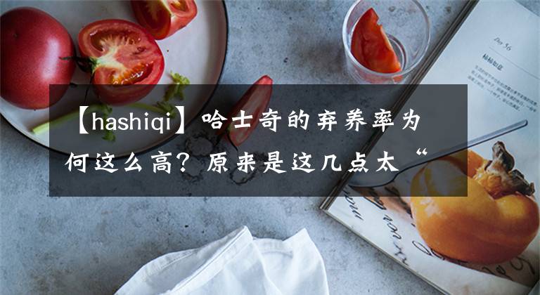 【hashiqi】哈士奇的棄養(yǎng)率為何這么高？原來(lái)是這幾點(diǎn)太“遭人嫌”