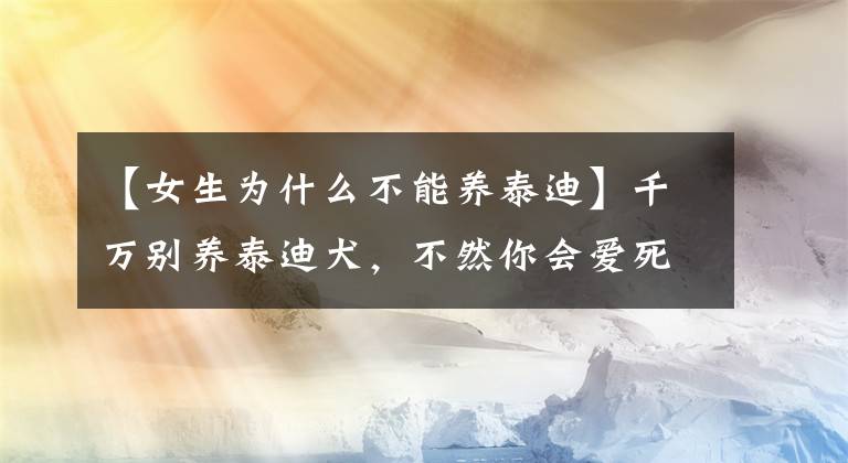 【女生為什么不能養(yǎng)泰迪】千萬別養(yǎng)泰迪犬，不然你會(huì)愛死它，只提醒你一次