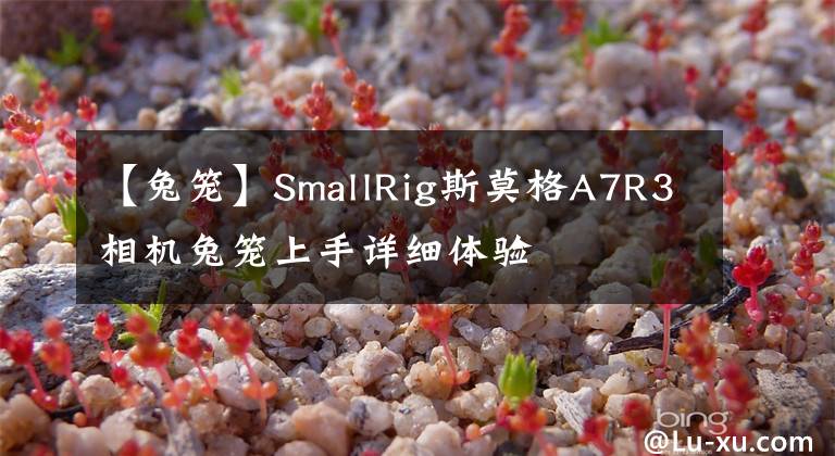 【兔籠】SmallRig斯莫格A7R3相機兔籠上手詳細(xì)體驗