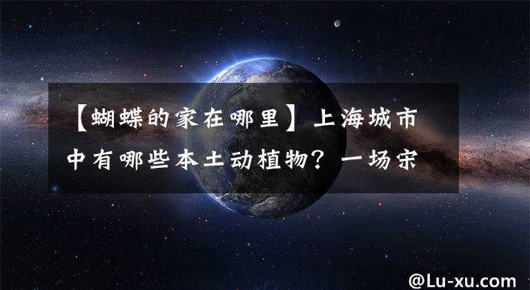 【蝴蝶的家在哪里】上海城市中有哪些本土動植物？一場宋慶齡文化空間的探秘之旅