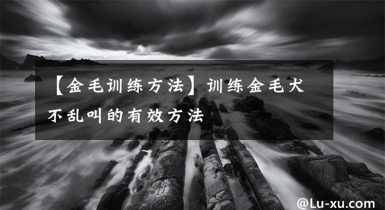 【金毛訓(xùn)練方法】訓(xùn)練金毛犬不亂叫的有效方法