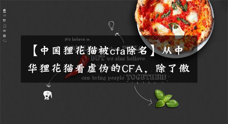 【中國貍花貓被cfa除名】從中華貍花貓看虛偽的CFA，除了傲慢與偏見還有啥？