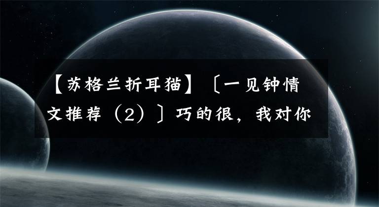 【蘇格蘭折耳貓】〔一見鐘情文推薦（2）〕巧的很，我對你也是