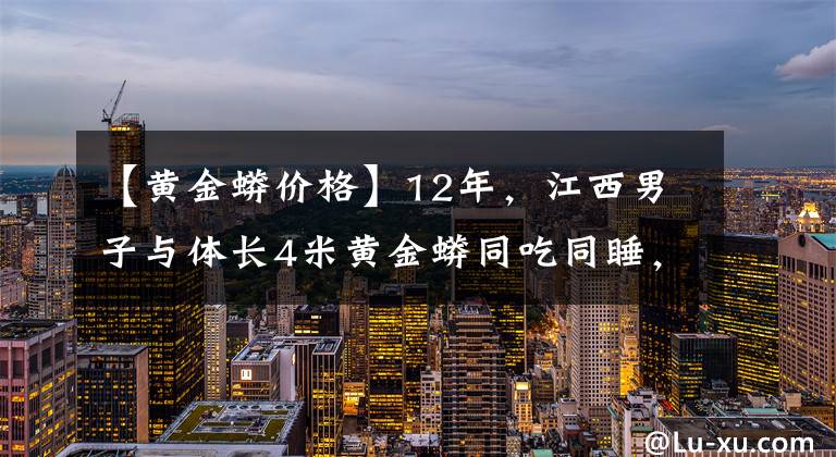 【黃金蟒價格】12年，江西男子與體長4米黃金蟒同吃同睡，還在公園湖里高調(diào)游泳