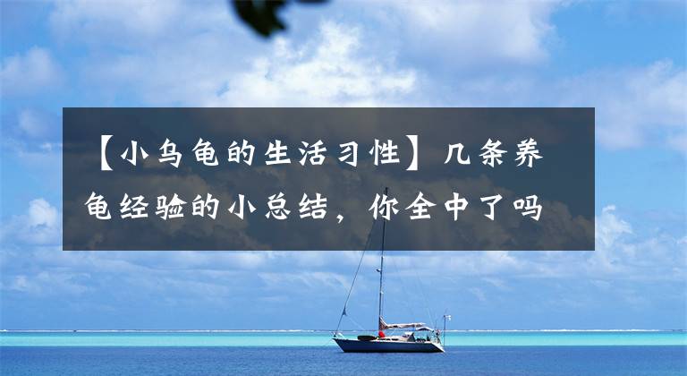 【小烏龜?shù)纳盍?xí)性】幾條養(yǎng)龜經(jīng)驗(yàn)的小總結(jié)，你全中了嗎？