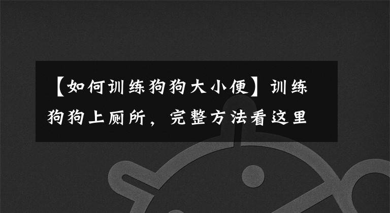 【如何訓練狗狗大小便】訓練狗狗上廁所，完整方法看這里。狗狗不再亂拉屎！亂拉尿！