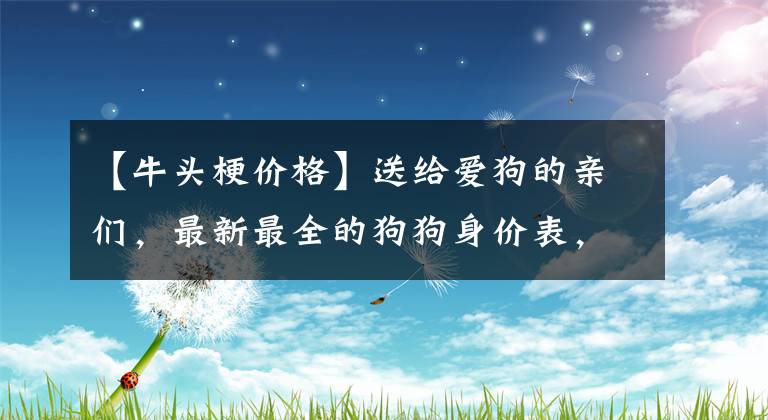 【牛頭梗價(jià)格】送給愛狗的親們，最新最全的狗狗身價(jià)表，再也不怕被奸商坑了！